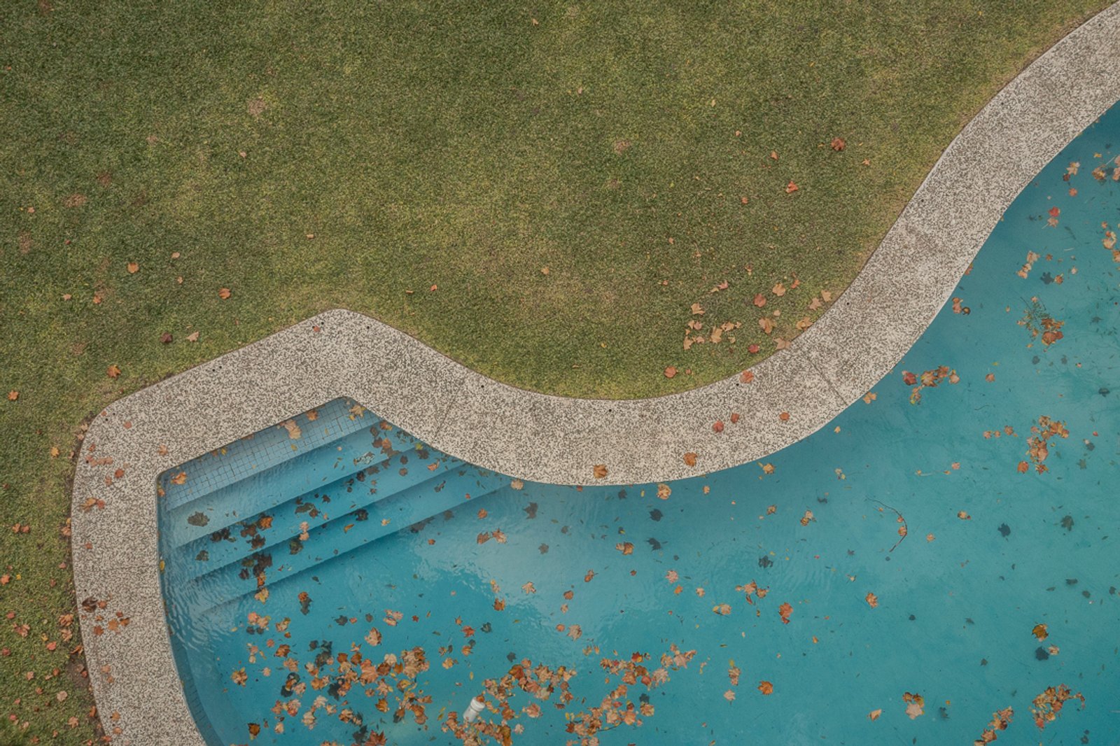 Vista aérea de piscina residencial con hojas caídas y borde curvo — proyecto Jardines Catamarca, por Estudio YME, en B1636 Olivos